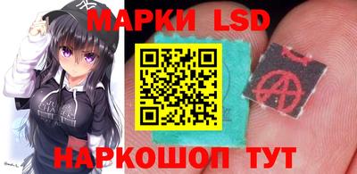 твердый Будённовск